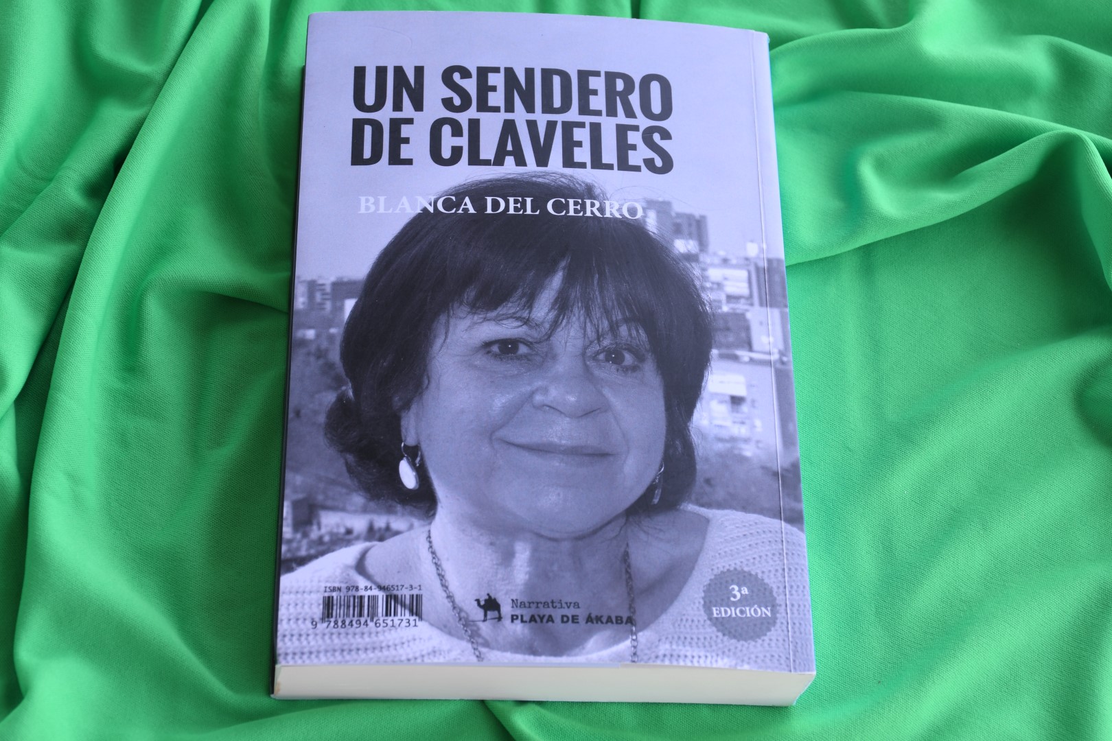 Portada Un sendero de claveles