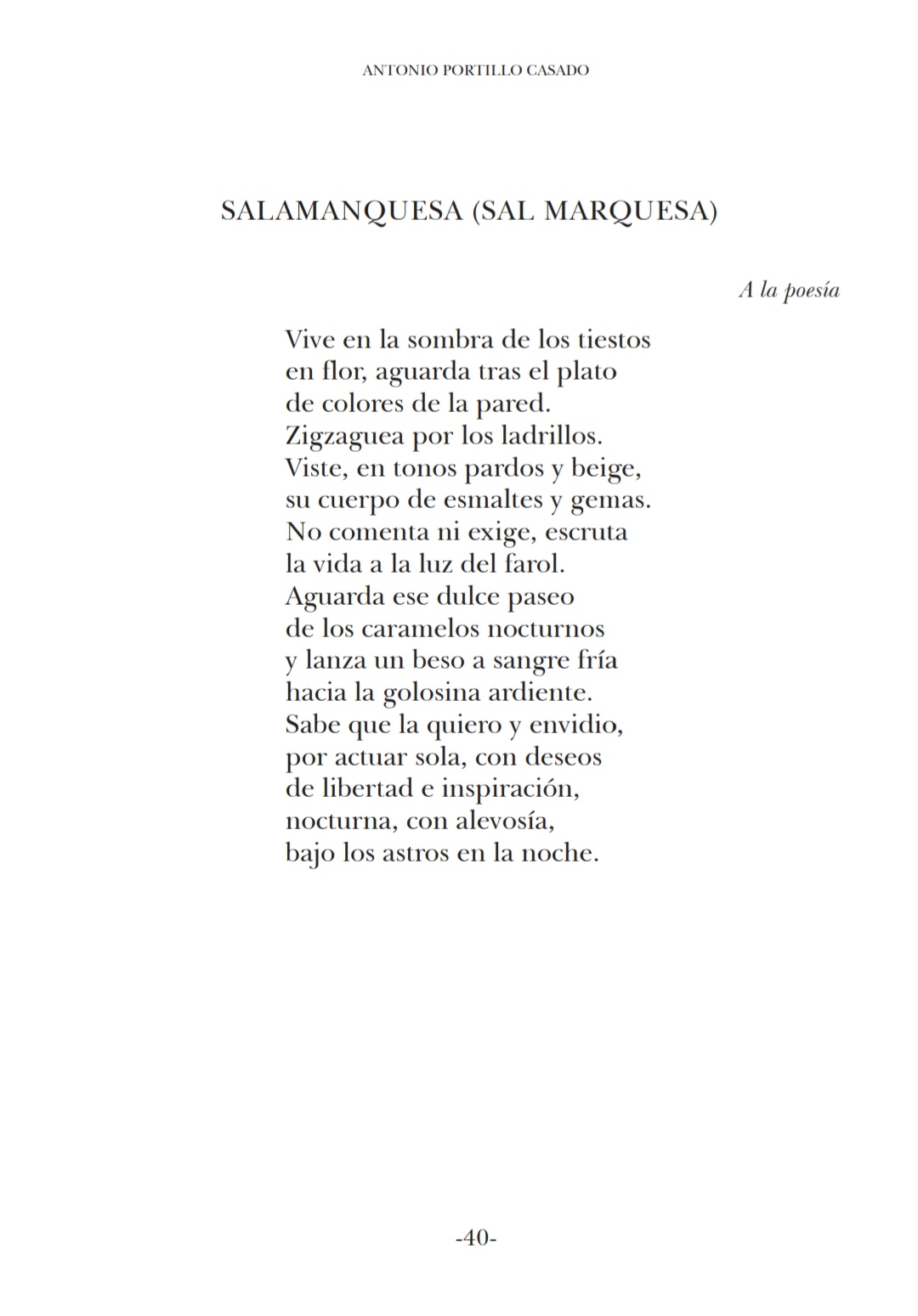 Portada Salamanquesa (Sal Marquesa). Poema dedicado a la poesía (del libro Rayomatiz)
